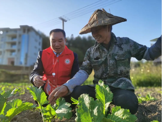 福建農(nóng)信新一期“鄉(xiāng)村振興貸”投放突破10億元，占全省七成以上