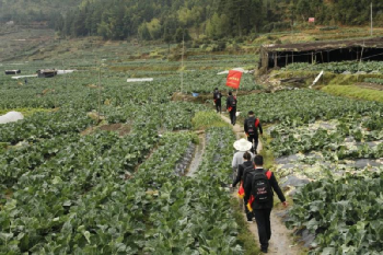 福建農(nóng)信：牢記囑托，為決戰(zhàn)決勝脫貧攻堅與成果拓展鞏固注入金融動能